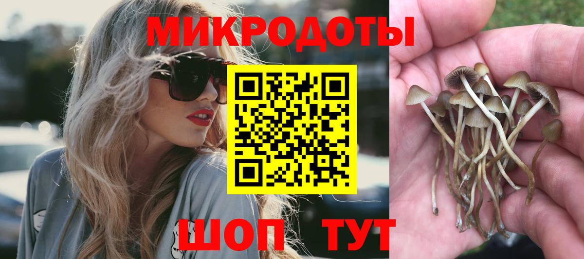 Чусовой  Псилоцибиновые грибы MAGIC MUSHROOMS  Вход с VPN 